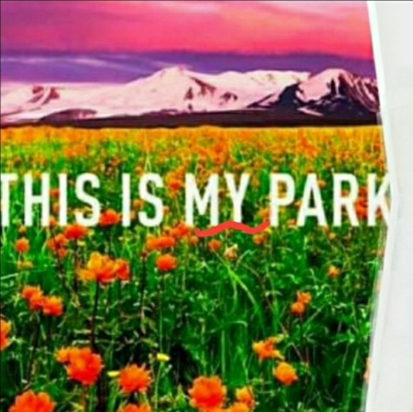 Adidas IVY PARK Hoodie, Gender Neutral, Size 4X, BIG & Oversized - Picture 3 of 8